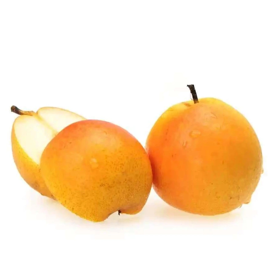 精品高端梨子脆甜多汁（试吃装）正宗鞍山梨子果梨