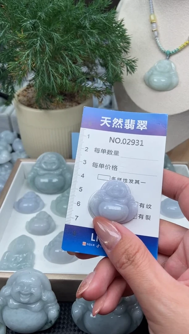 颈饰未镶嵌翡翠纯天然A货缅翡2931