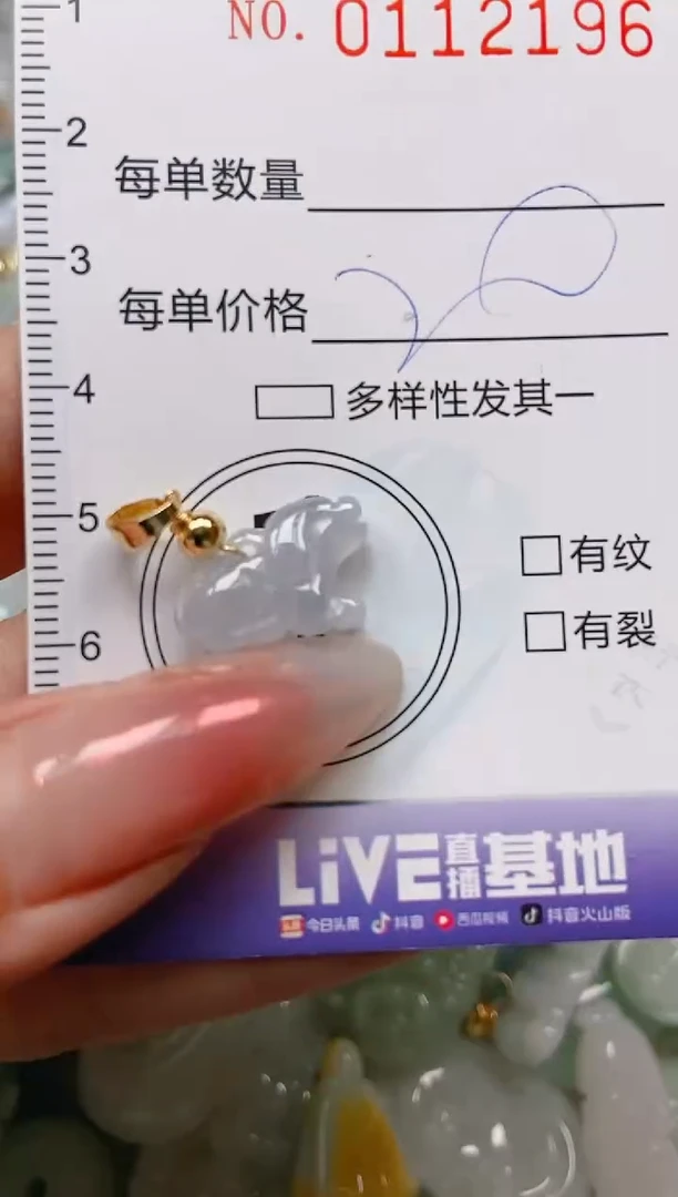 【闪购商品】翡翠颈饰未镶嵌闪购0112196