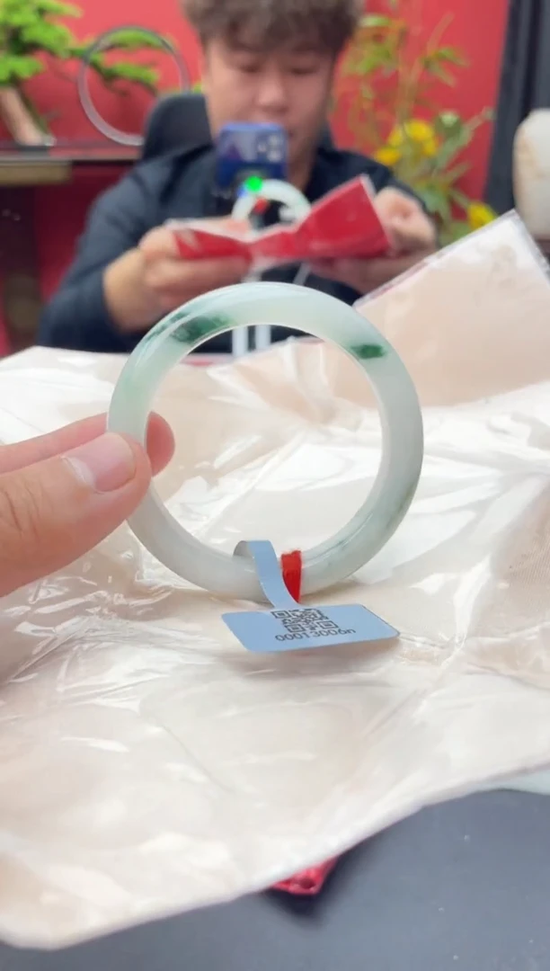 未镶嵌手镯翡翠9