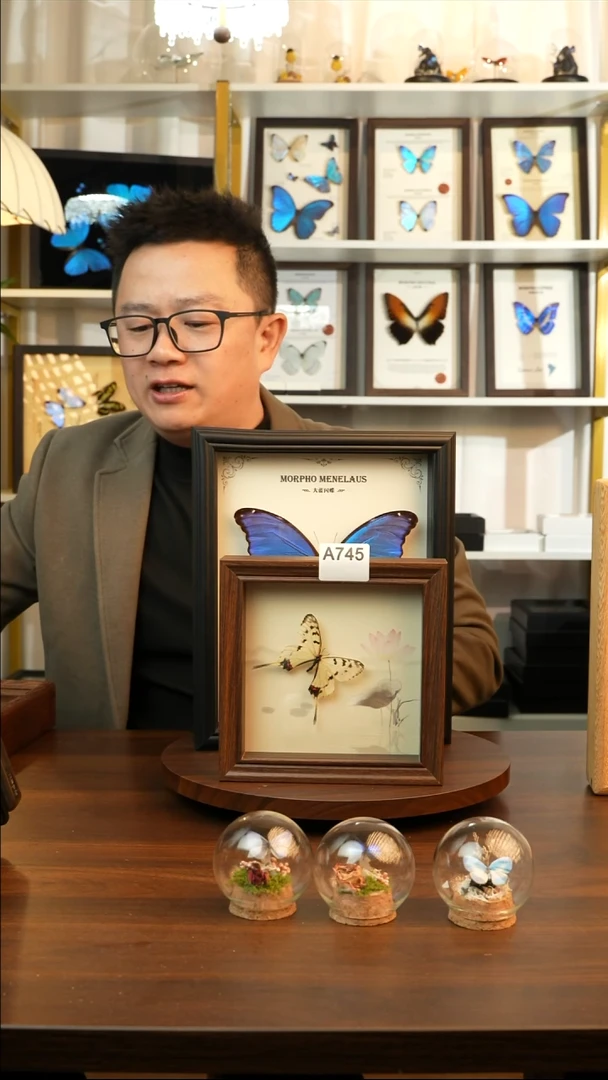 丝带凤蝶（6寸方胡桃色新款框）A745