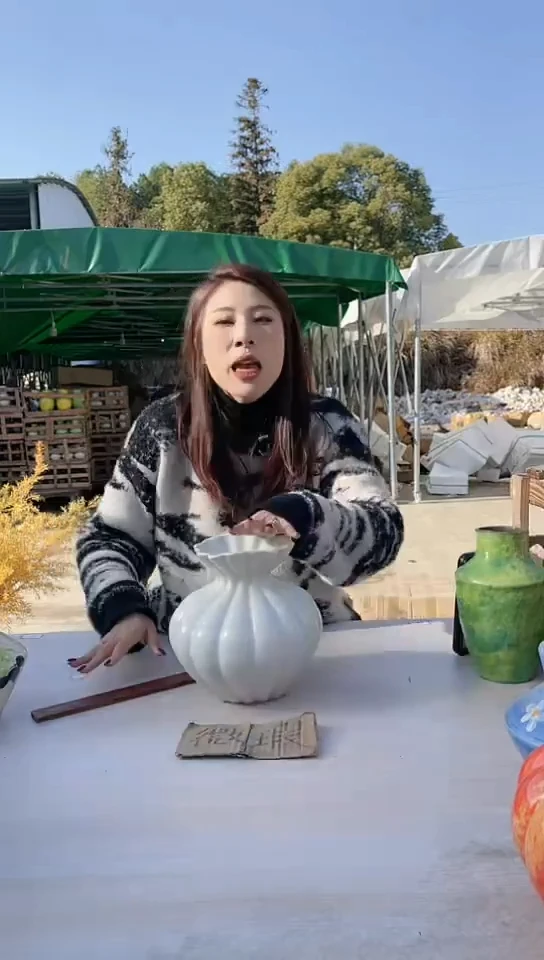 【闪购商品】陶瓷景德镇手工陶瓷