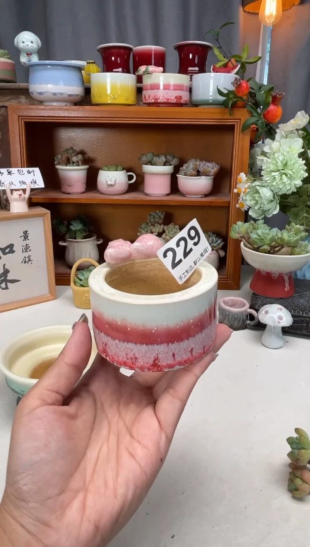 瓷片229知木小芳花盆