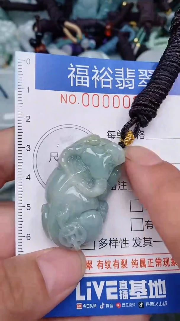翡翠未镶嵌颈饰...0000028