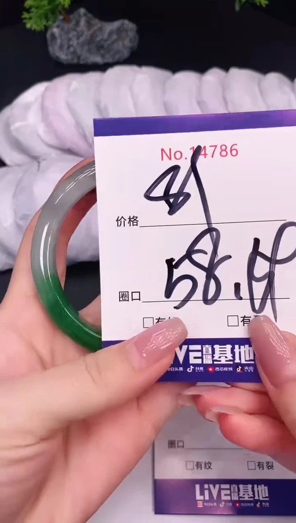 未镶嵌手镯翡翠14786