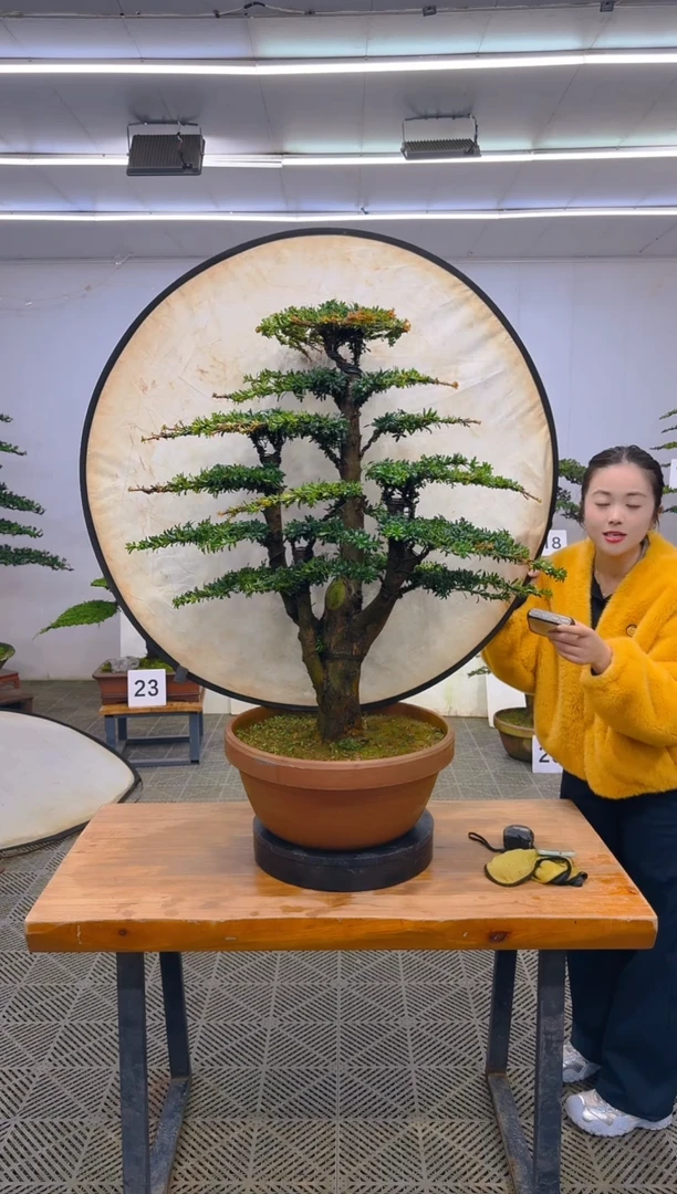 无花朵一物一拍一物一拍