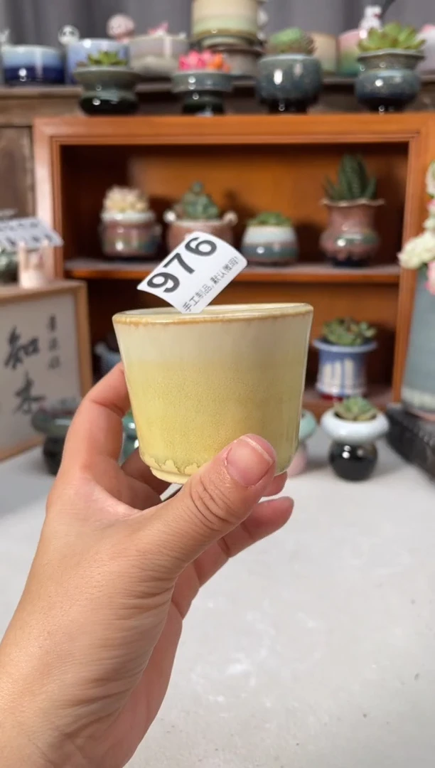 瓷片976小芳直播编号