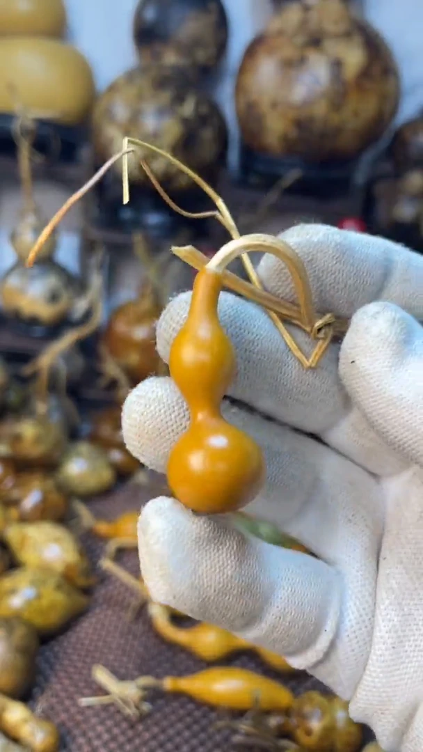 【闪购商品】葫芦葫芦葫芦葫芦