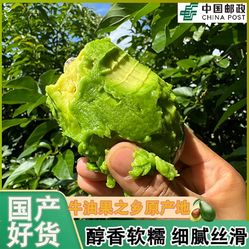 [邮政空运]云南国货之光孟连福尔特牛油果孕宝妈辅食优选水果鲜果