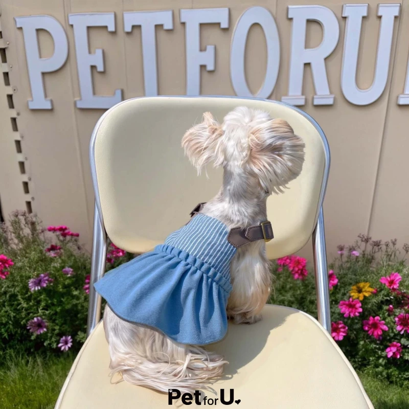 PetforU原创秋季条纹牛仔背带裙小狗衣服猫咪衣服宠物服中小型犬
