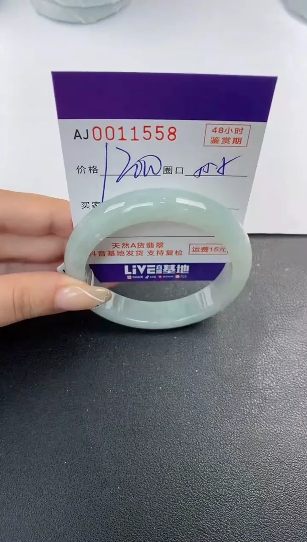 未镶嵌手镯翡翠天然A货翡翠
