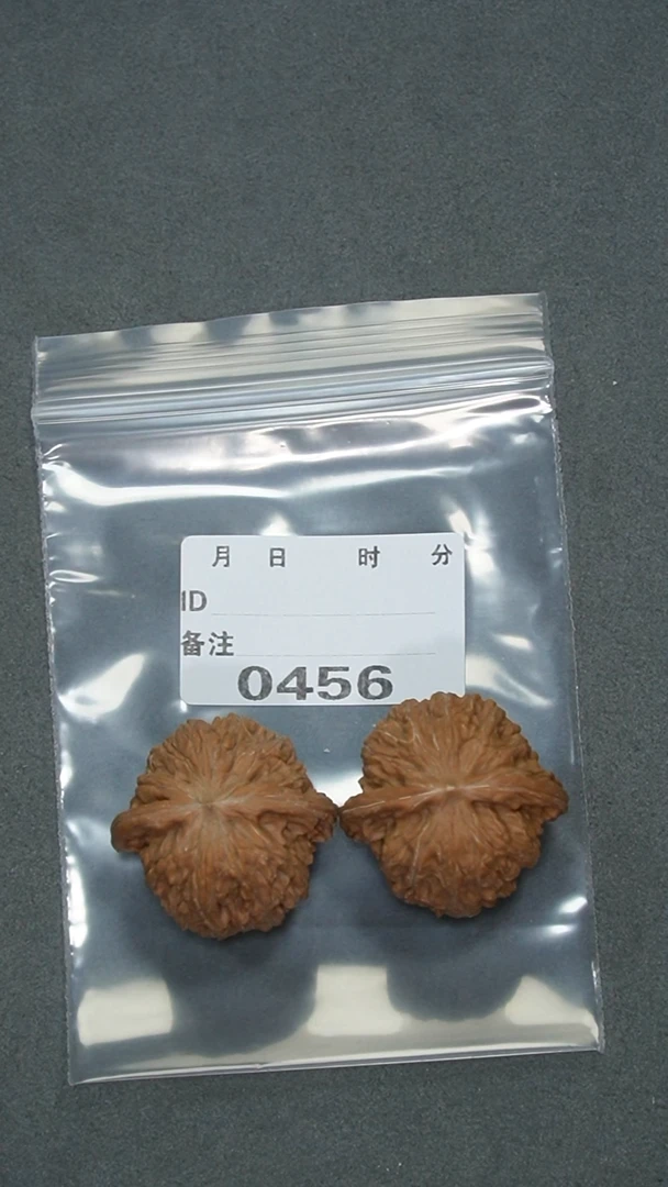 【闪购商品】文玩核桃把件39磨盘