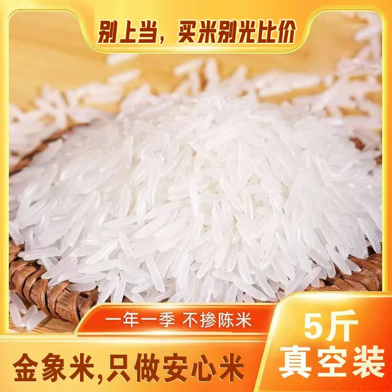 【不满意包退】香糯长粒猫牙米新香米 5斤真空装 富贵春金象大米