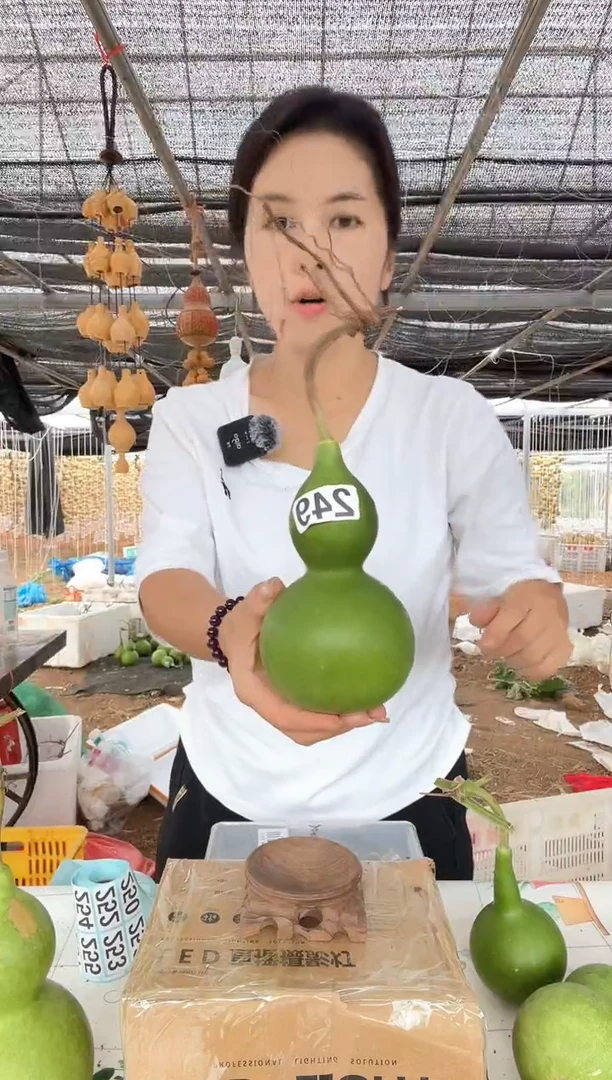 249天然葫芦摆件 一物一拍龙头不保售后