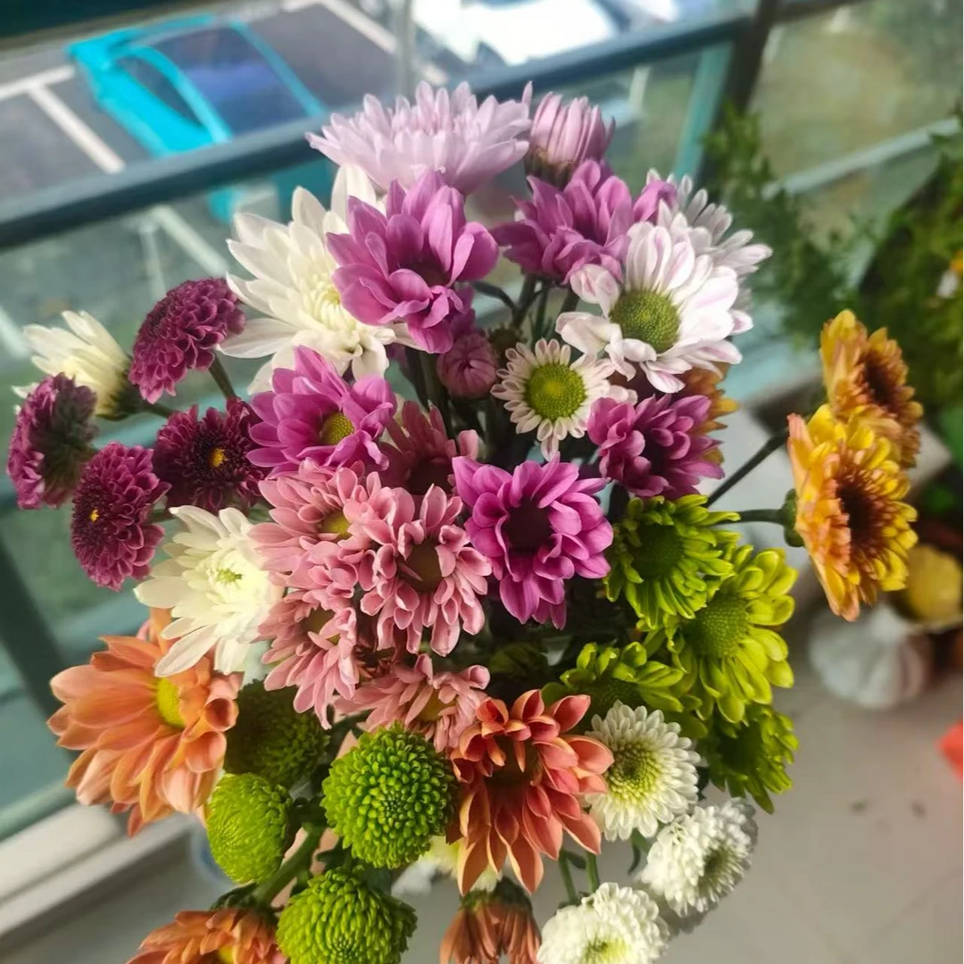 混色小雏菊   任意买2单送鲜花一束，升级冷链快递送货上门