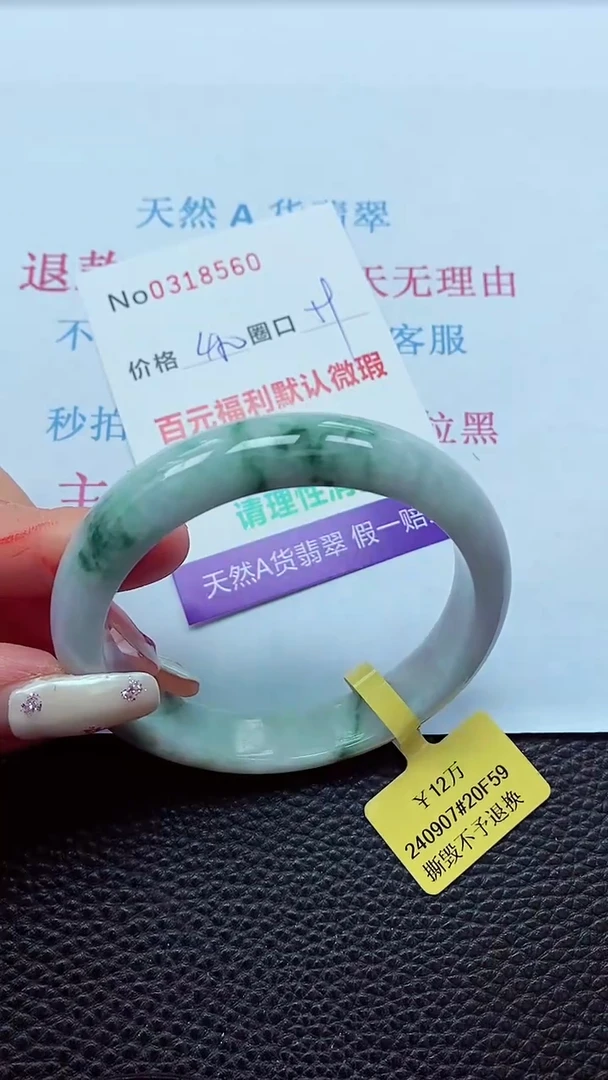 【闪购商品】翡翠手镯未镶嵌00318560