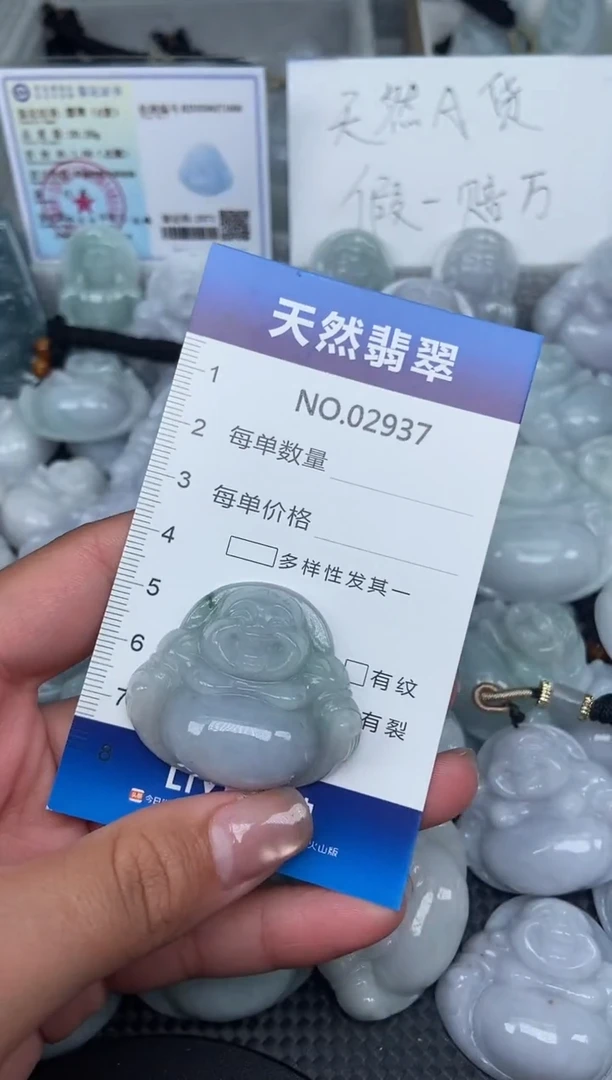 颈饰未镶嵌翡翠纯天然A货翡翠2937