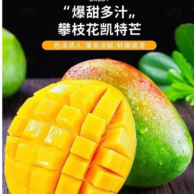 芒果凯特大脸芒正宗攀枝花芒果核薄肉厚爆甜多汁产地直发应季水果