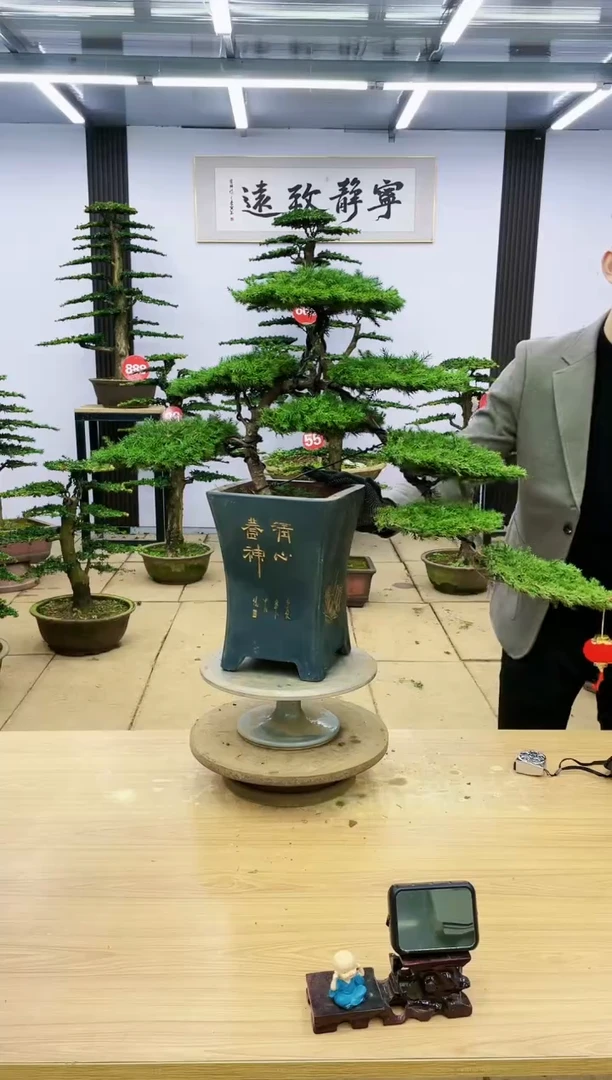 【闪购商品】0000000000