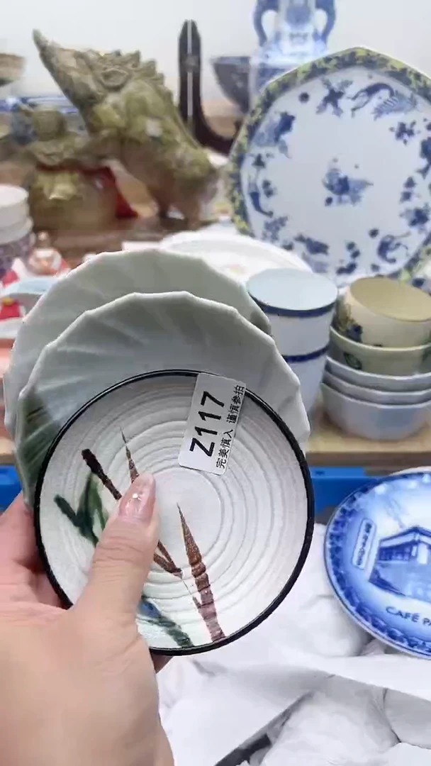 【闪购商品】瓷片117
