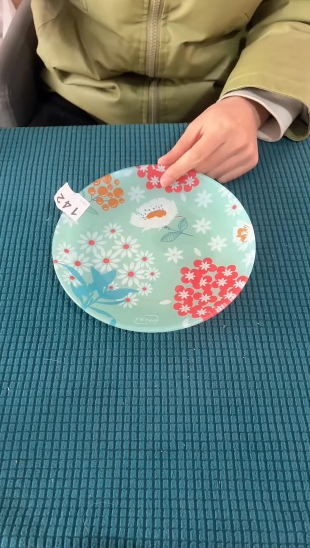 进口食品级钢化玻璃142号直径21cm3个