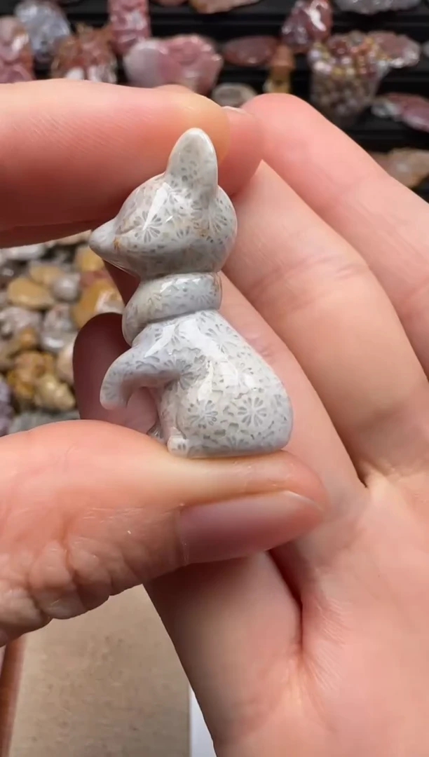 【闪购商品】硅化珊瑚（珊瑚玉）颈饰未镶嵌413