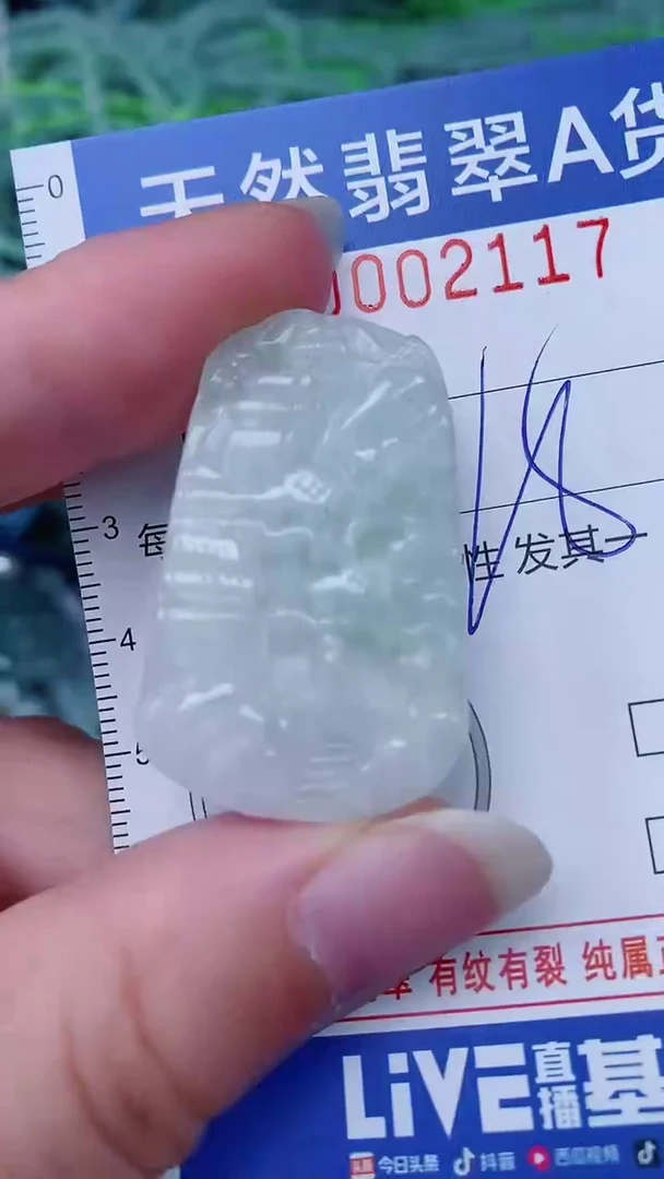 翡翠未镶嵌颈饰00002117