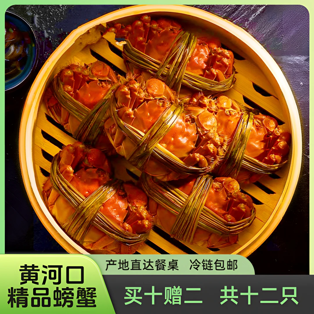 【活蟹黄河口精品】 母蟹 1.8-1.5两/只  买八赠二 直播价 共10只