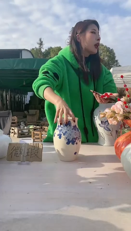 【闪购商品】陶瓷景德镇手工微瑕介意勿拍