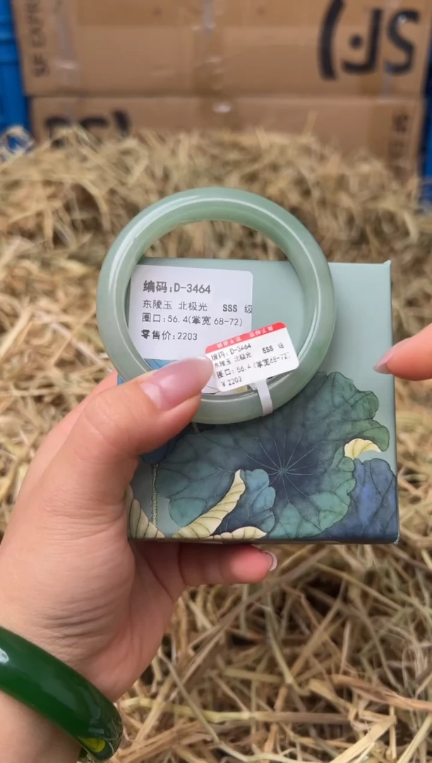 未镶嵌手镯石英质玉D-3464