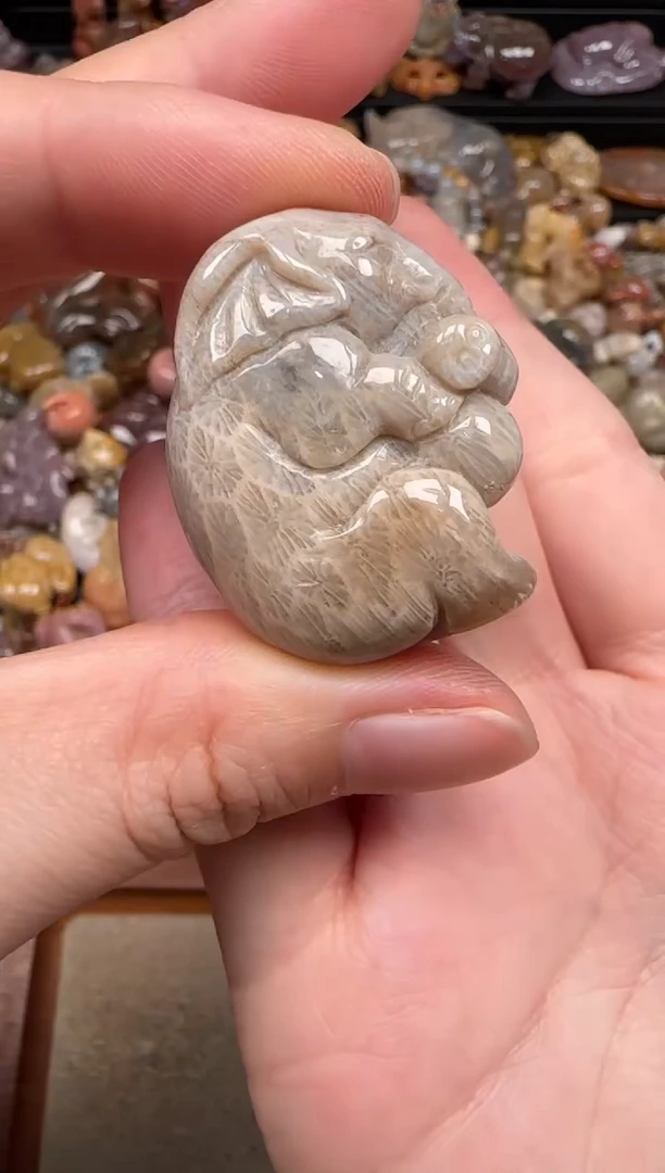 硅化珊瑚（珊瑚玉）未镶嵌颈饰299