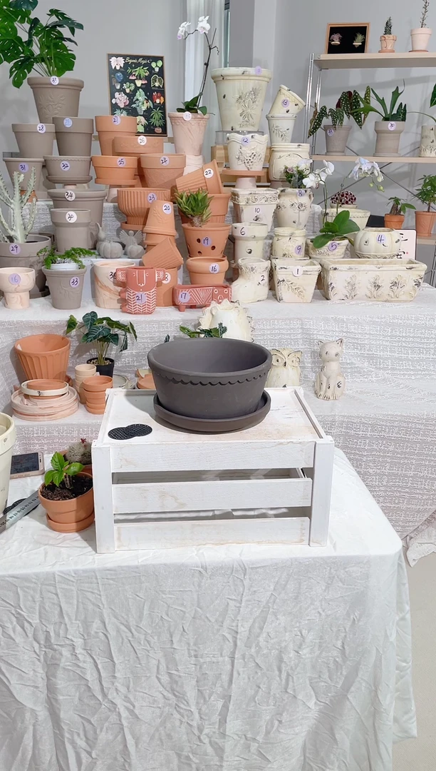 【闪购商品】红陶1个带托黑金刚矮宽盆口径20*高10