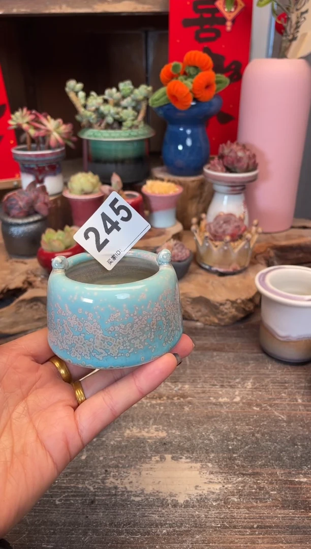 【闪购商品】摆件245知木小芳花盆