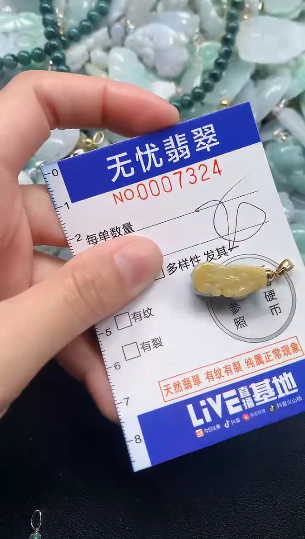 颈饰未镶嵌翡翠7324