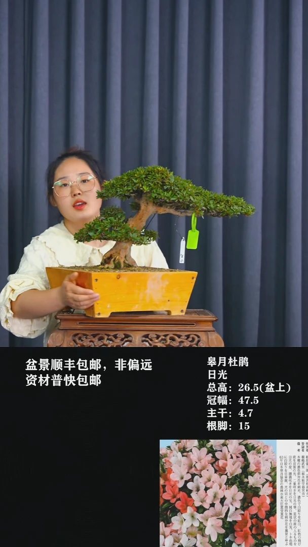 无花朵唐*强日光-G7967