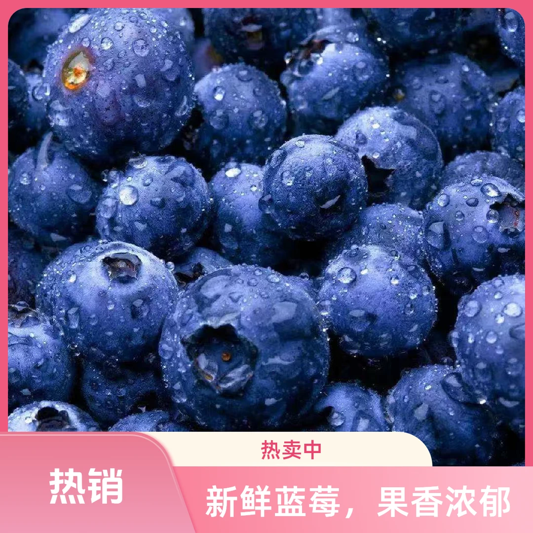 【特级花香25号蓝莓】云南高山花香蓝莓脆甜可口孕妈辅食