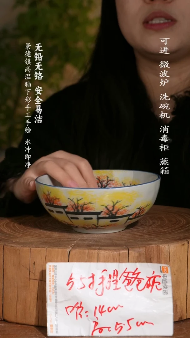 碗陶瓷景德镇高温瓷釉下彩手绘陶瓷