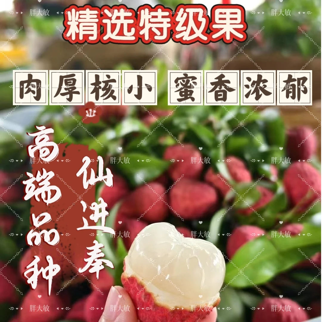 【顺丰冷链包邮】爽脆香甜仙进奉荔枝肉厚饱满/5斤/10斤装