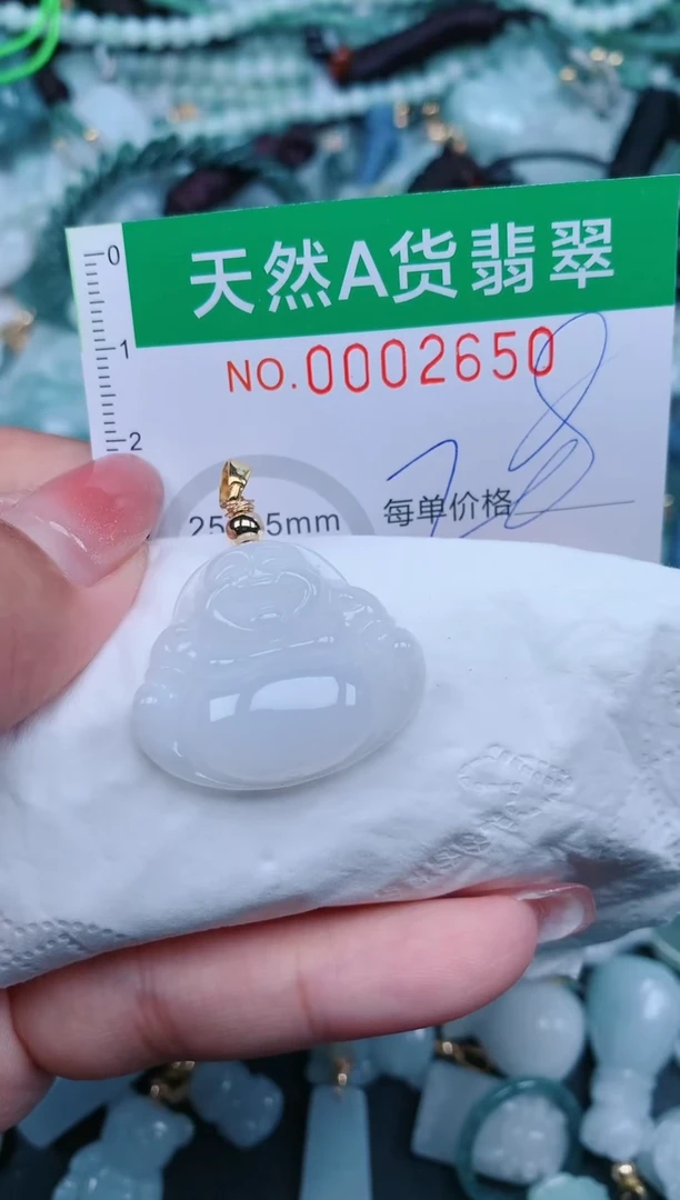 【闪购商品】翡翠颈饰未镶嵌.0002650