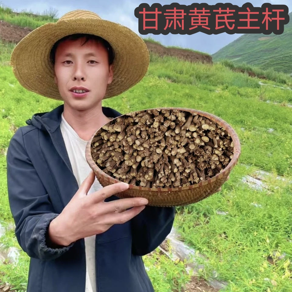 甘肃岷县家种黄芪主杆250g精选