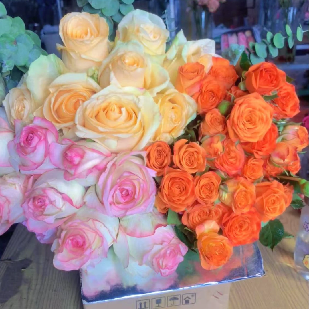 香槟8枝+爱莎8枝+橙色芭比（3-5枝）+配草