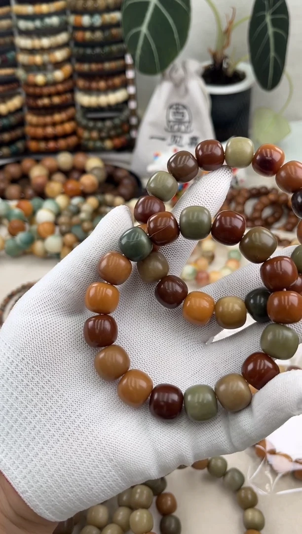 菩提根/象牙果手串a138卡15 干磨