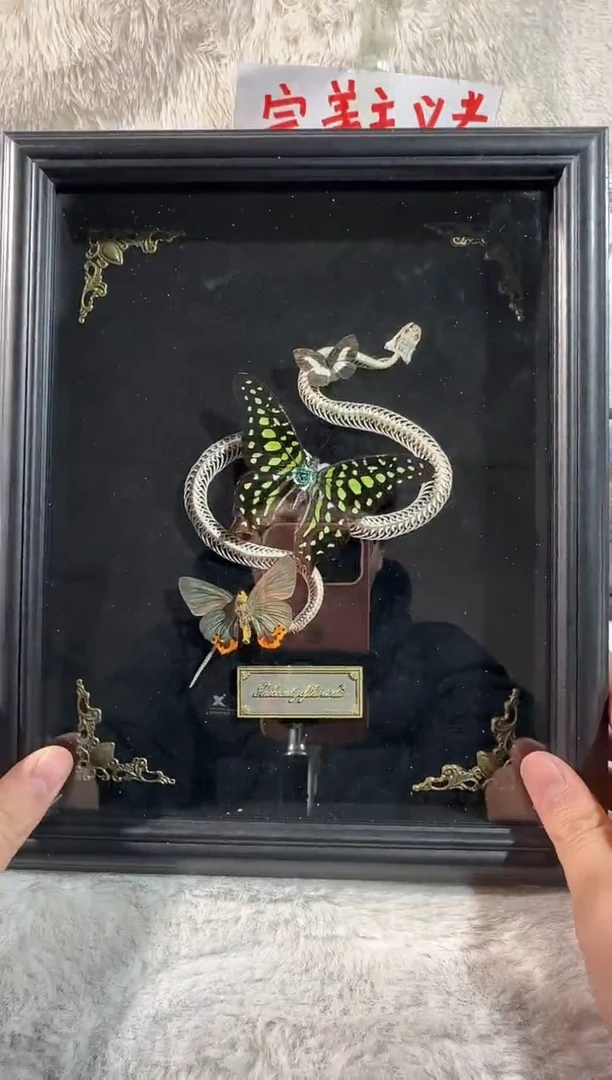 木统帅青凤蛇骨