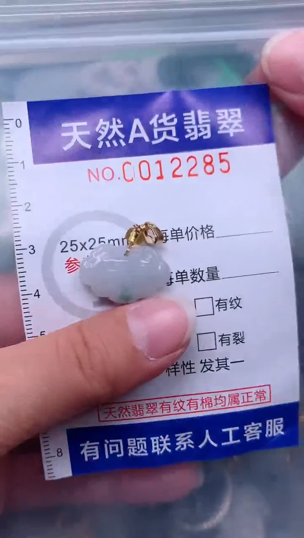 翡翠未镶嵌吊坠(赠链)1