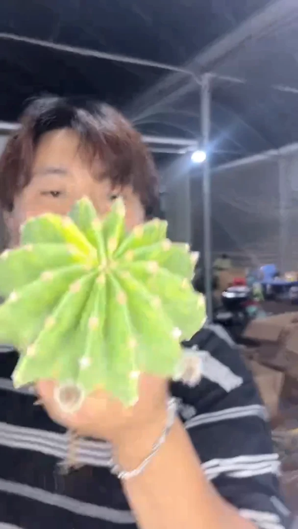 世界图锦【实生根】