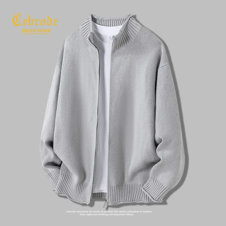 法国Cebrodz针织开衫毛衣男款2025新款百搭立领男慵懒风线衣