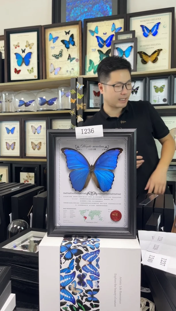 大蓝闪蝶10寸中文豪华版 i236