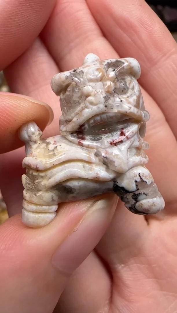 硅化珊瑚（珊瑚玉）未镶嵌颈饰311