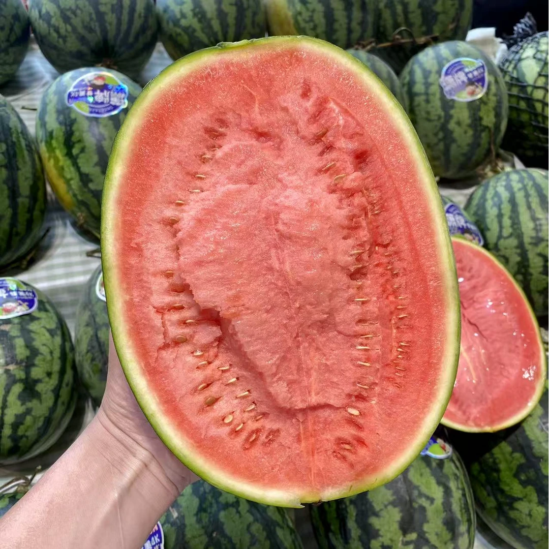 甘美4k西瓜浙江省