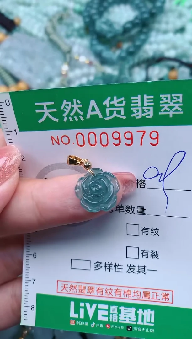 【闪购商品】翡翠颈饰未镶嵌.0009979